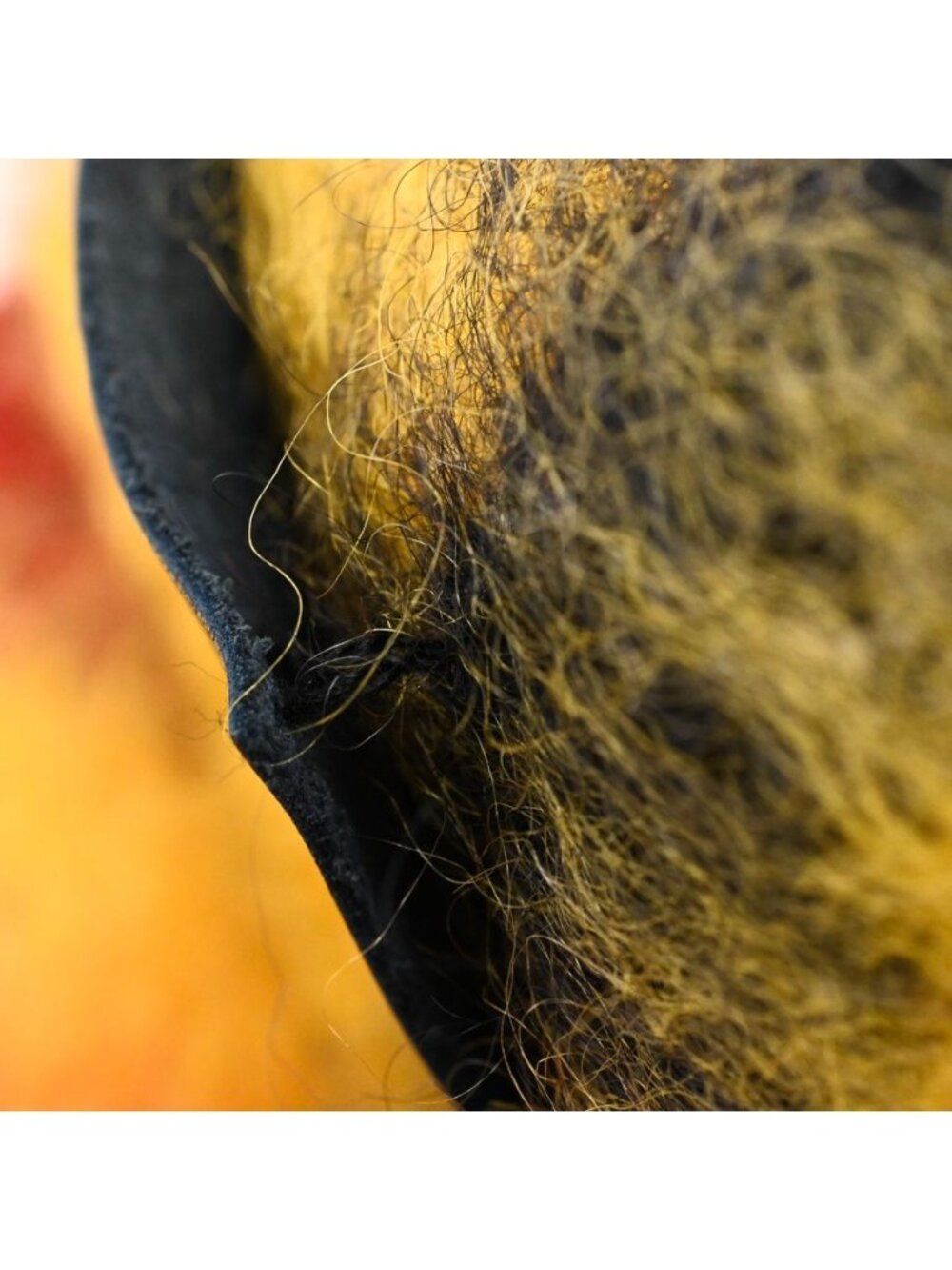 Loewe Scarf Multicolor - Picture 7 of 7